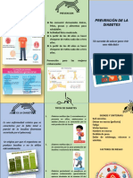 Triptico de La Diabetes