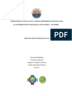 Informe Final Borrador Proyecto de Grado