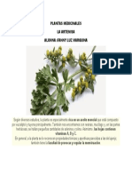 Plantas Medicinales