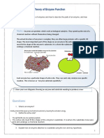 Enzyme Practice