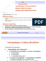 1 Aula Antropologia Uma Visão Geral - PPT, Attachment