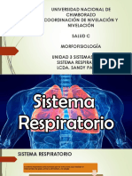 Sistema Respiratorio