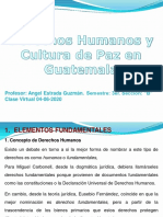 ELEMENTOS FUNDAMENTALES Derechos Humanos Clase Virtual 04-06-2020