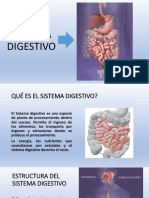 3.1.-Sistema Digestivo