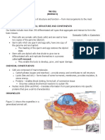 Module 2 Cytogenetics