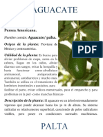 Plantas Medicinales