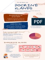 Endocrine Glands