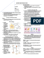 MC1 REVIEWER (Nervous System) - MIDTERMS