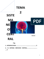 Trabajo Psicologia SNC 2020