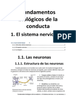 1.1. Las Neuronas (Apuntes)