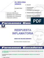 B Respuesta Inflamatoria