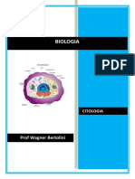 Citologia e Organelas