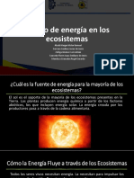 Flujo de Energía en Los Ecosistemas