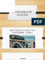 Ingenieria de Puentes