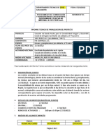 Modelo de Informe Tecnico de Paralizacion Del Proyecto