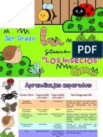 3ro - Plan Insectos Distancia