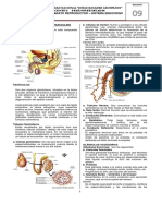 Practica Nº09 Biología - Con Claves