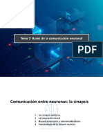 Tema 7 BASES DE LA COMUNICACIÓN NEURONAL