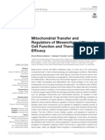 Mitochondrial Transfer and Regulators of Mesenchymal Stromal Cell Function and Therapeutic Efficac