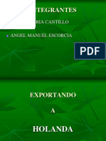 Producto de Exportacion Aguacate