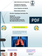 Tuberculosis Pulmonar-1