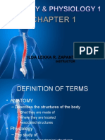 Anatomy Chapter 1