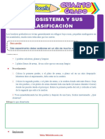 El Ecosistema y Sus Clasificación para Cuarto Grado de Primaria