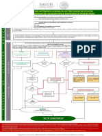 Version Final Dediagram de Flujo RABIA