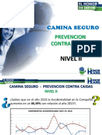 Camina Seguro - Prevencion Contra Caidas - Nivel 2