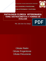 2eritrocinetica y Formas de Evaluar