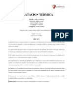 Informe Dilatacion Termica