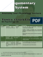 Tiomico - BSP 2A - Integumentary System