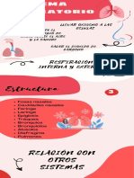 Infografía Sistema Respiratorio