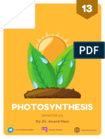 Photosynthesis