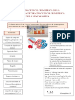 Diagrama Hemoglobina