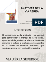 Anatomía de La Vía Aérea