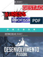 Gestao Stress Profissional Atual