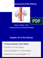 Dopplerultrasoundofthekidneys 130629025936 Phpapp01