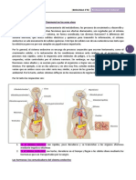 Clase 12 Sistema Endocrino