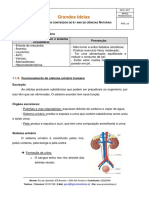 Ciencias - Sistema Excretor e Plantas