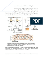 Ultrastructure of Bacteria & Endospore