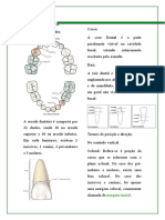 Endodontia