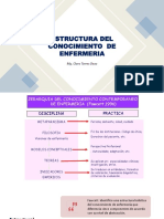 Estructura Jerarquica Del Conocimiento de Enfermería