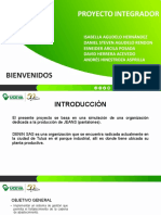 Presentacion Proyecto Integrador