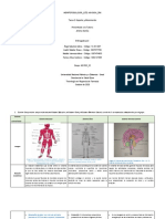 Tarea 2-Soporte Movimiento e Integración - Morfofisiologia