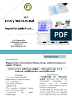 Clase Prc3a1ctica Elisa y Western Blot 2019