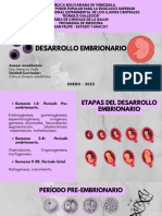 Desarrollo Embrionario