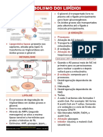 1668558229694+metabolismo Dos Lipídios