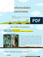 Enfermedades Bacterianas