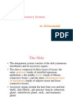 Chap 3-Integumentary System